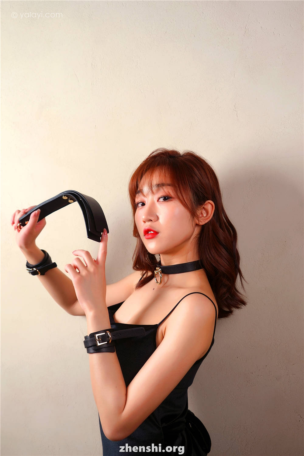 zhenshi.org (29)