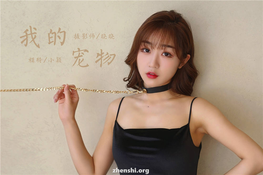 zhenshi.org (37)