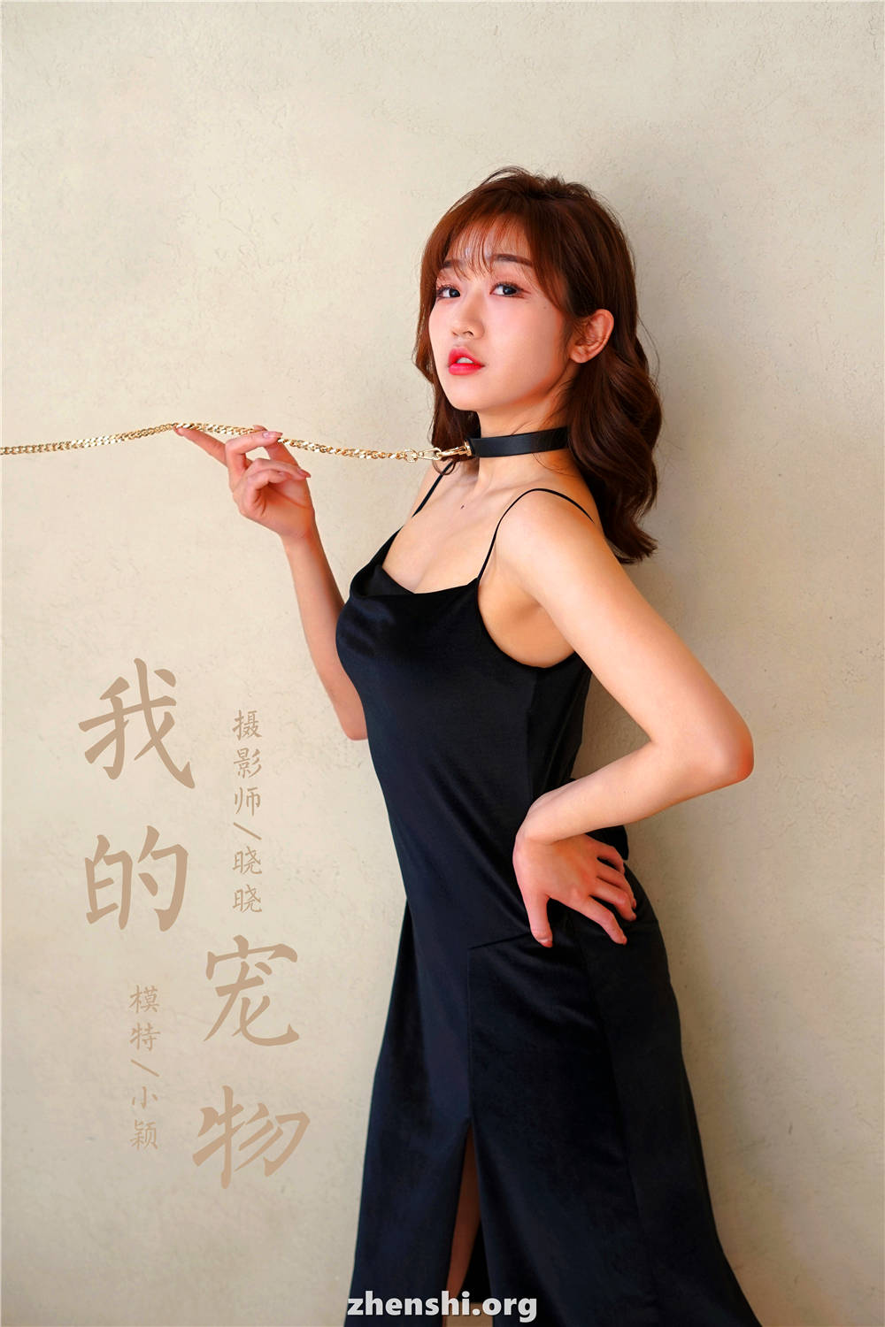 zhenshi.org (38)