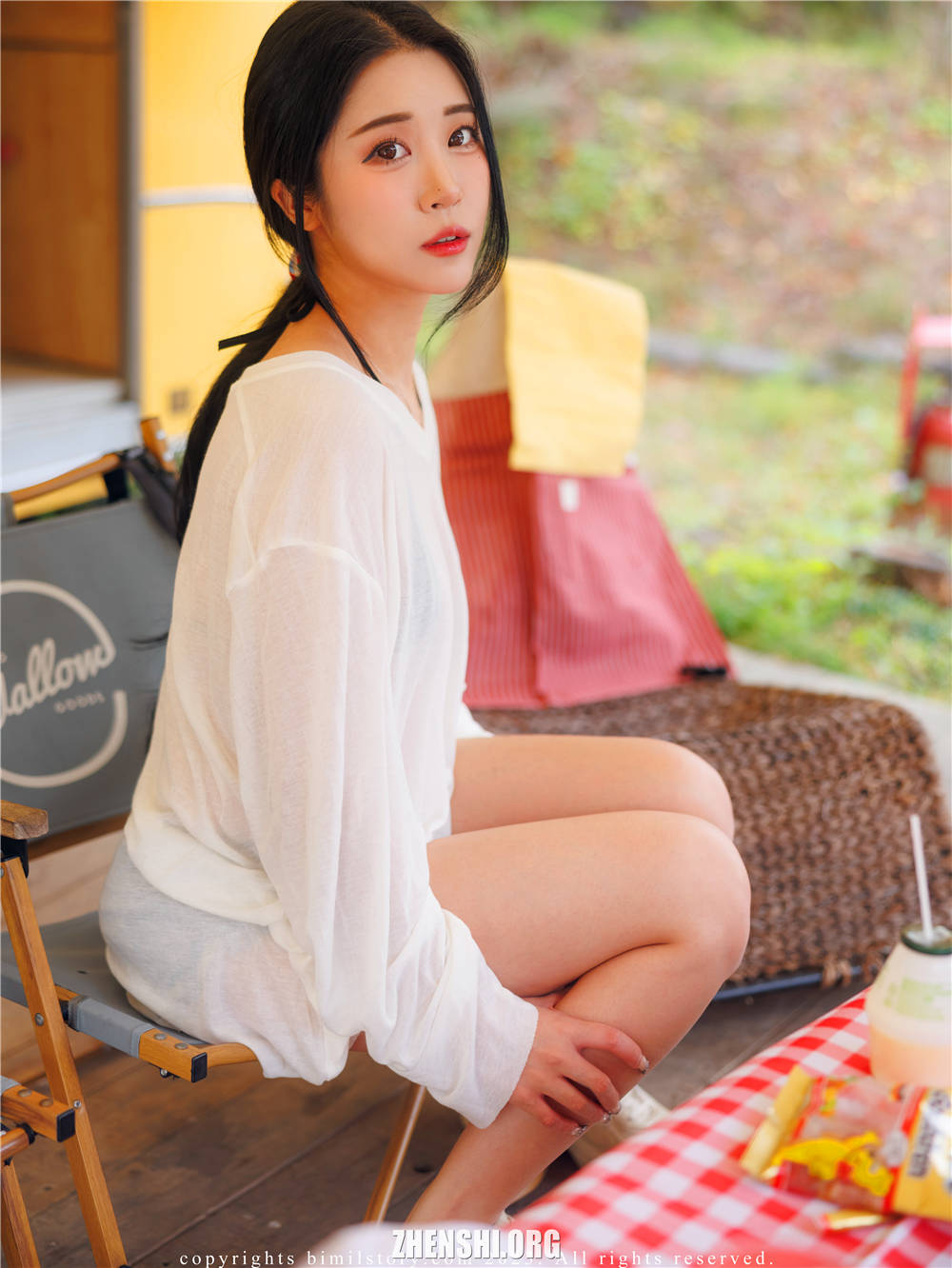 zhenshi.org (3)