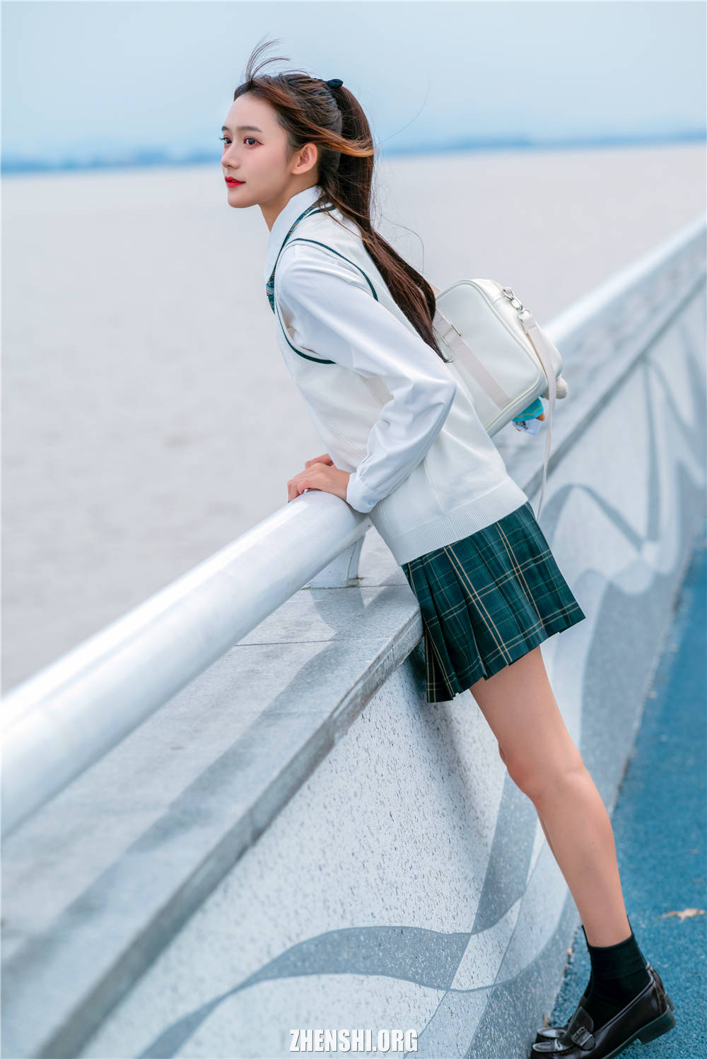 zhenshi.org (6)