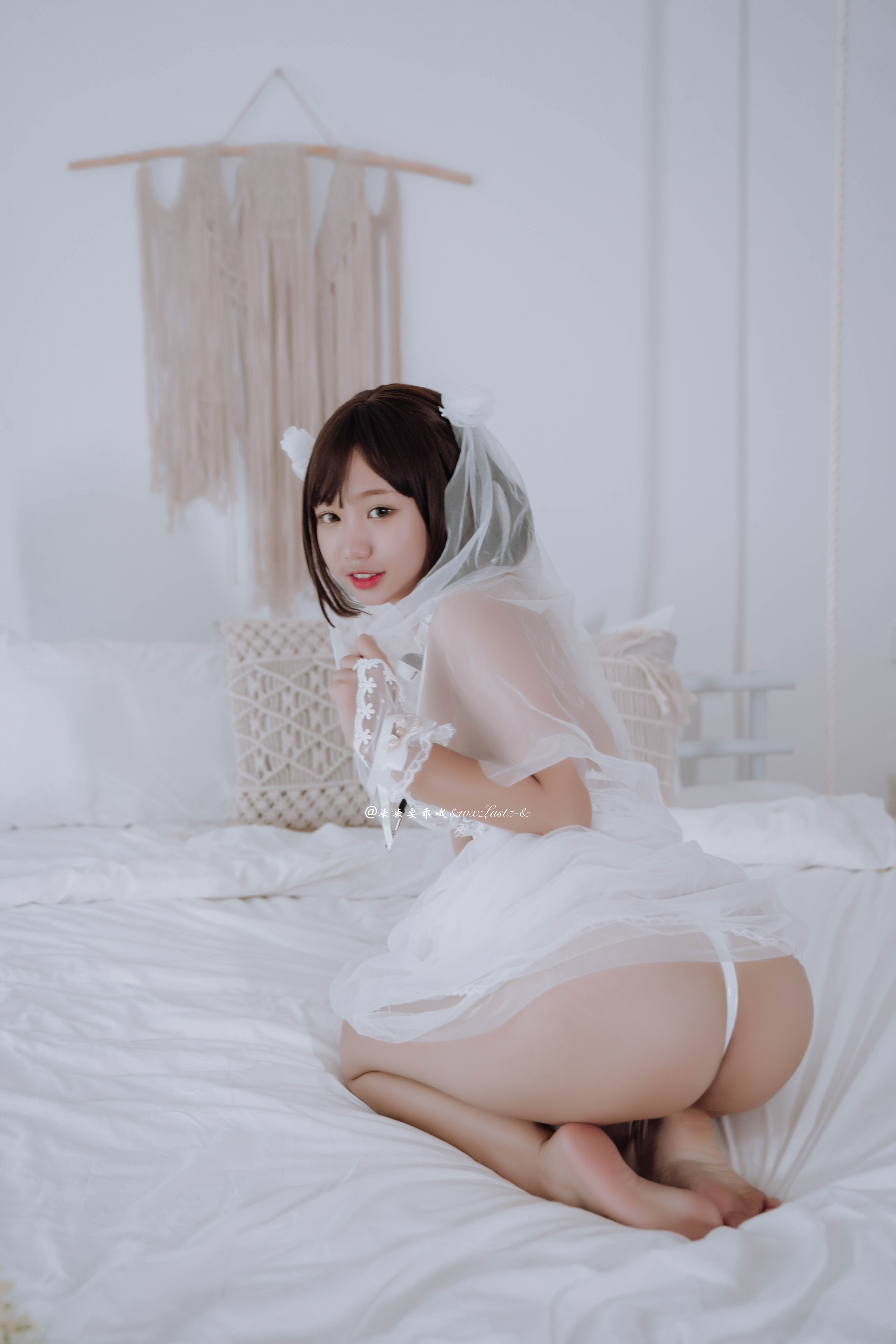 zhenshi.org (15)