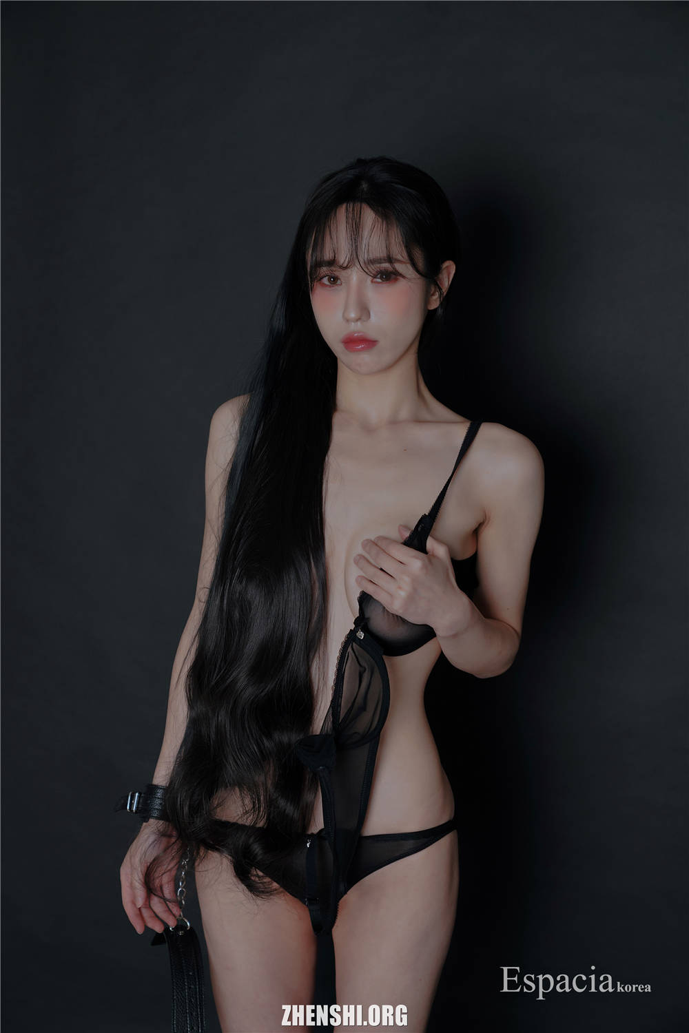 zhenshi.org (6)