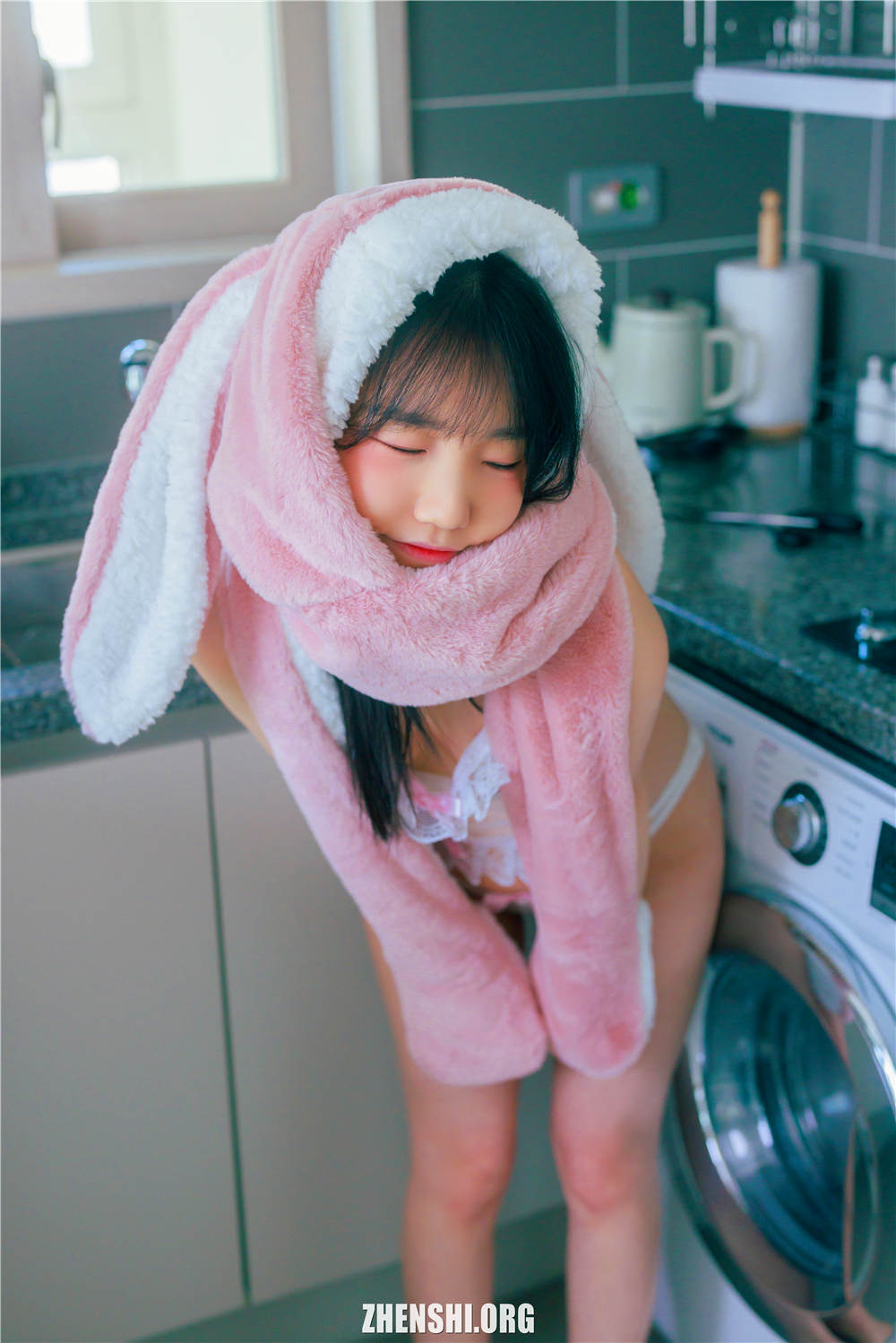 zhenshi.org (2)