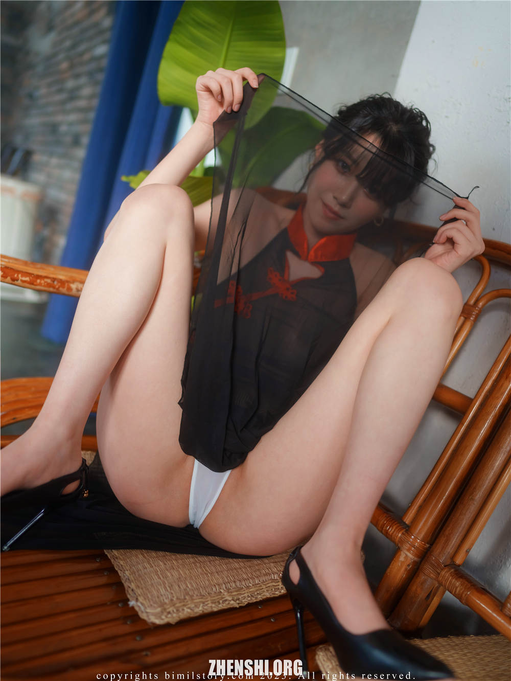 zhenshi.org (4)