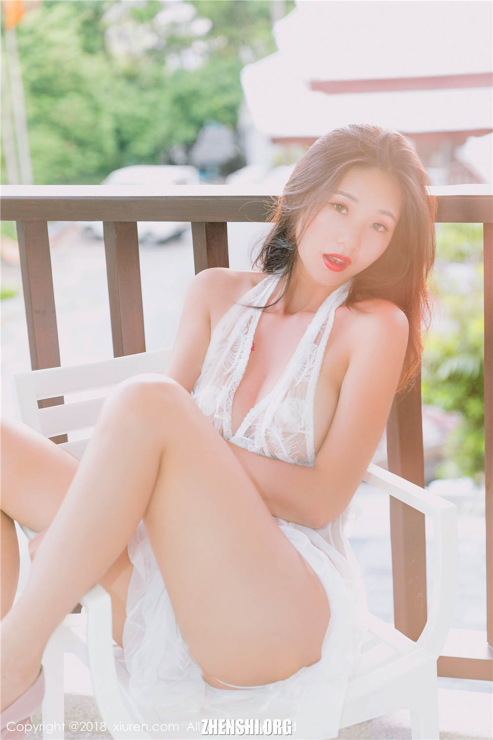 zhenshi.org (4)