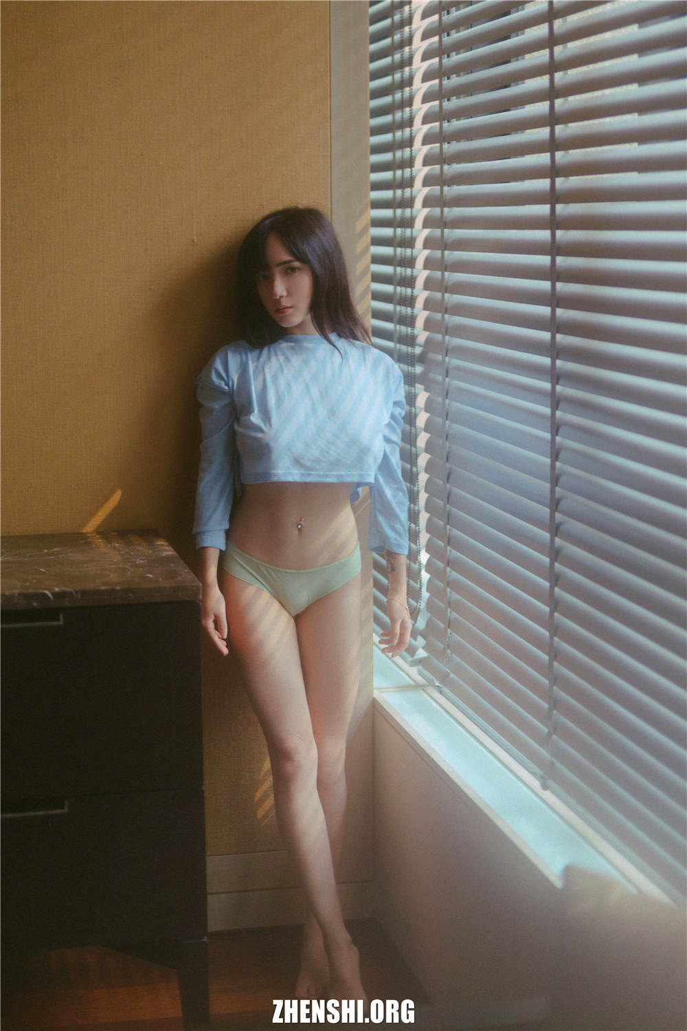 zhenshi.org (57)