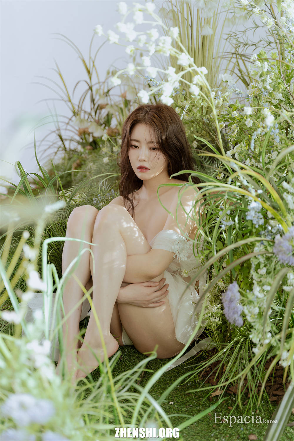 ZHENSHI.ORG (29)